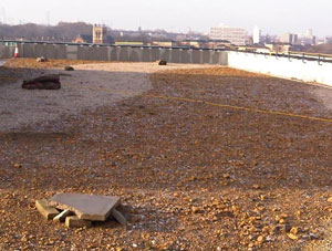 Biodiversity substrate for green roofs