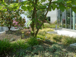 Intensive substrate for green roofs